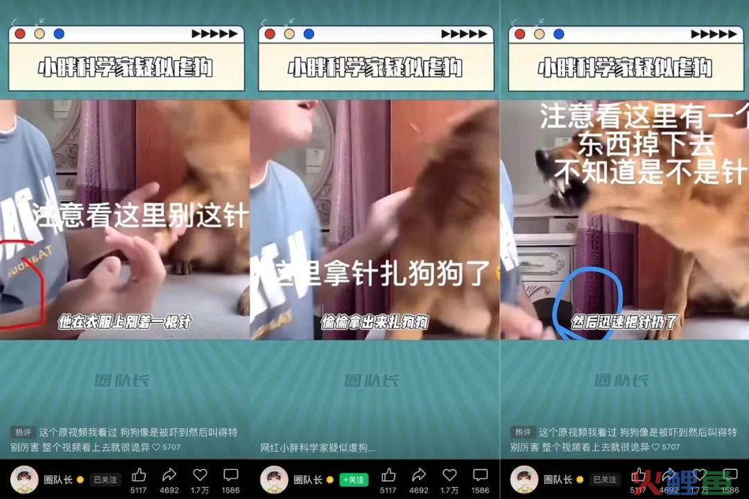 600万粉丝博主被指虐狗，做不好直播的萌宠生意钱景几何？