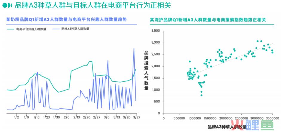种草火了这么久,我们对它的理解是不是太简单?