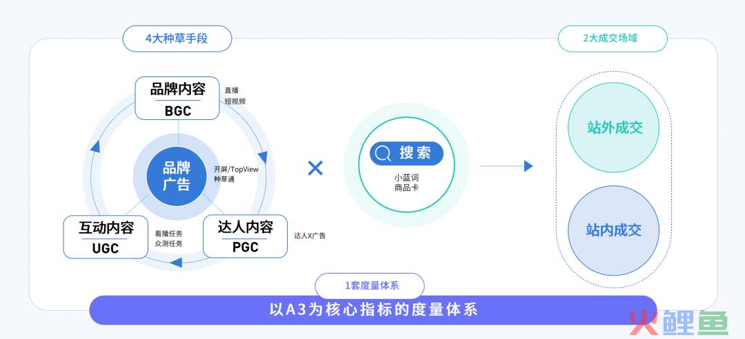 种草火了这么久,我们对它的理解是不是太简单?