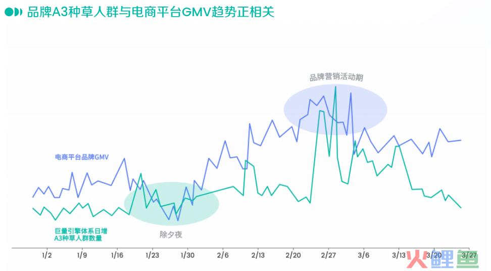 种草火了这么久,我们对它的理解是不是太简单?