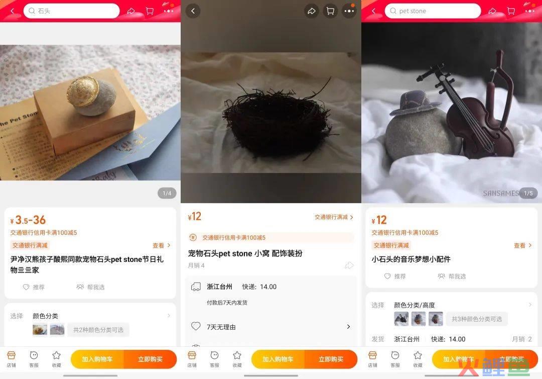 猫猫狗狗失宠了?这届年轻人竟然养起了「石头」