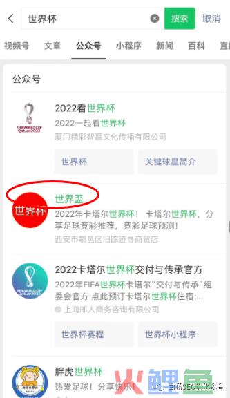 白杨SEO:做个世界杯公众号怎么样?以2022年世界杯搞搜一搜流量举例【干货】