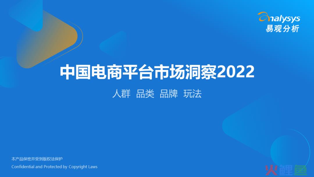 2022年中国电商平台市场洞察