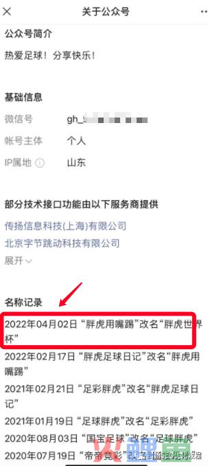 白杨SEO:做个世界杯公众号怎么样?以2022年世界杯搞搜一搜流量举例【干货】