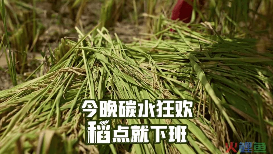 《风味人间4》回归,海报和文案下饭又香