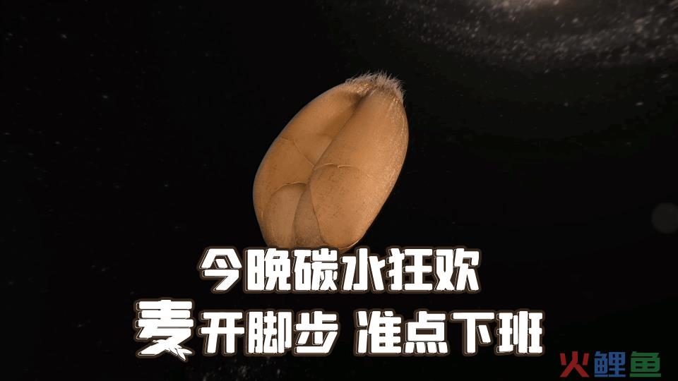 《风味人间4》回归,海报和文案下饭又香