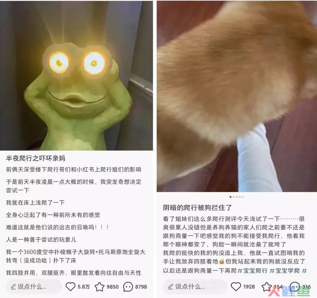 靠“爬行”在小红书获赞数万，这届年轻人发起疯来也太迷惑了……