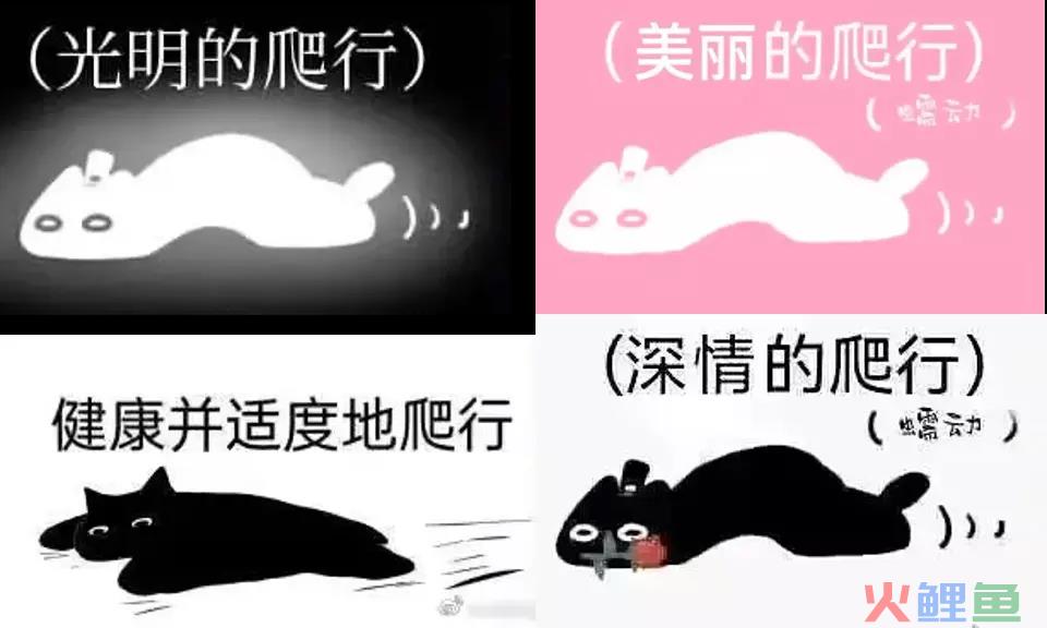靠“爬行”在小红书获赞数万，这届年轻人发起疯来也太迷惑了……
