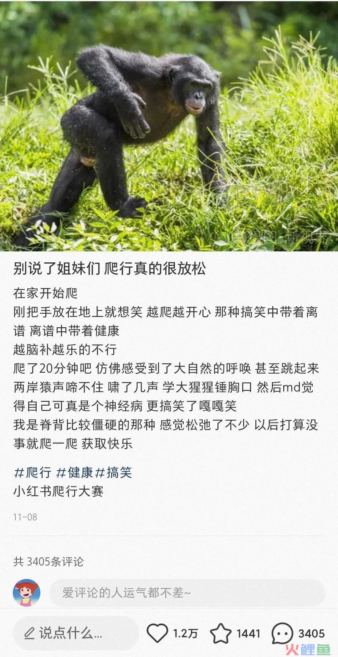 靠“爬行”在小红书获赞数万，这届年轻人发起疯来也太迷惑了……