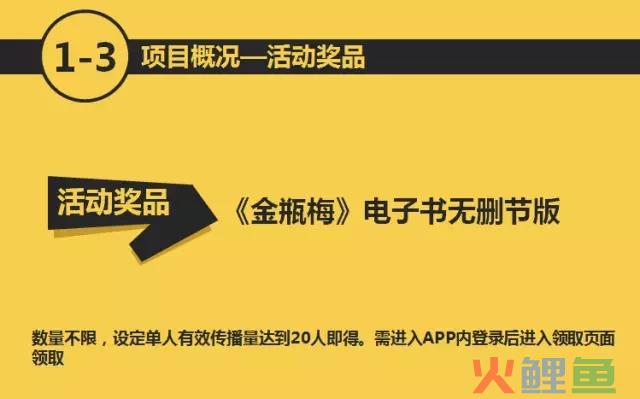 5.webp