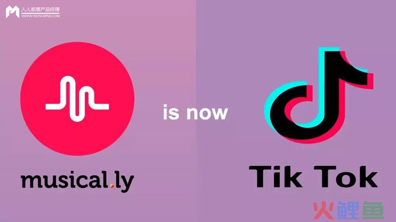  如何像TikTok那样赢得海外年轻用户？这里有3个建议