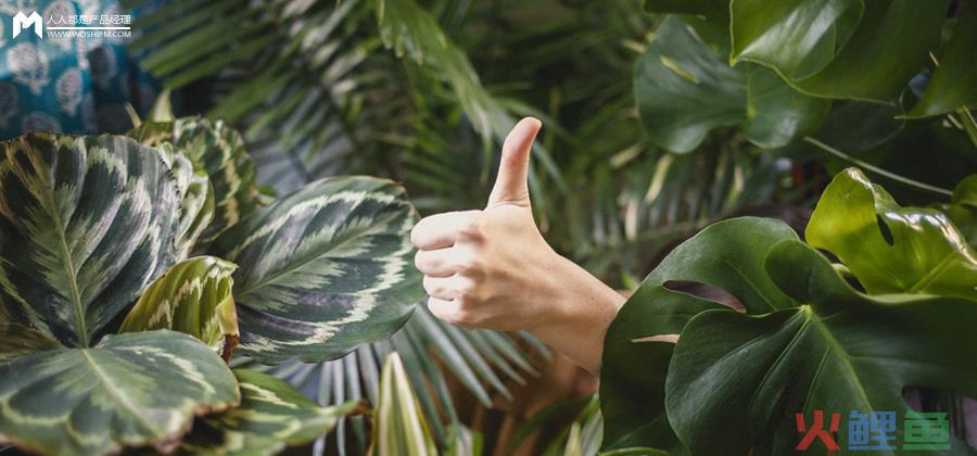  深藏不露！原来足疗店才是产品的高级操盘手