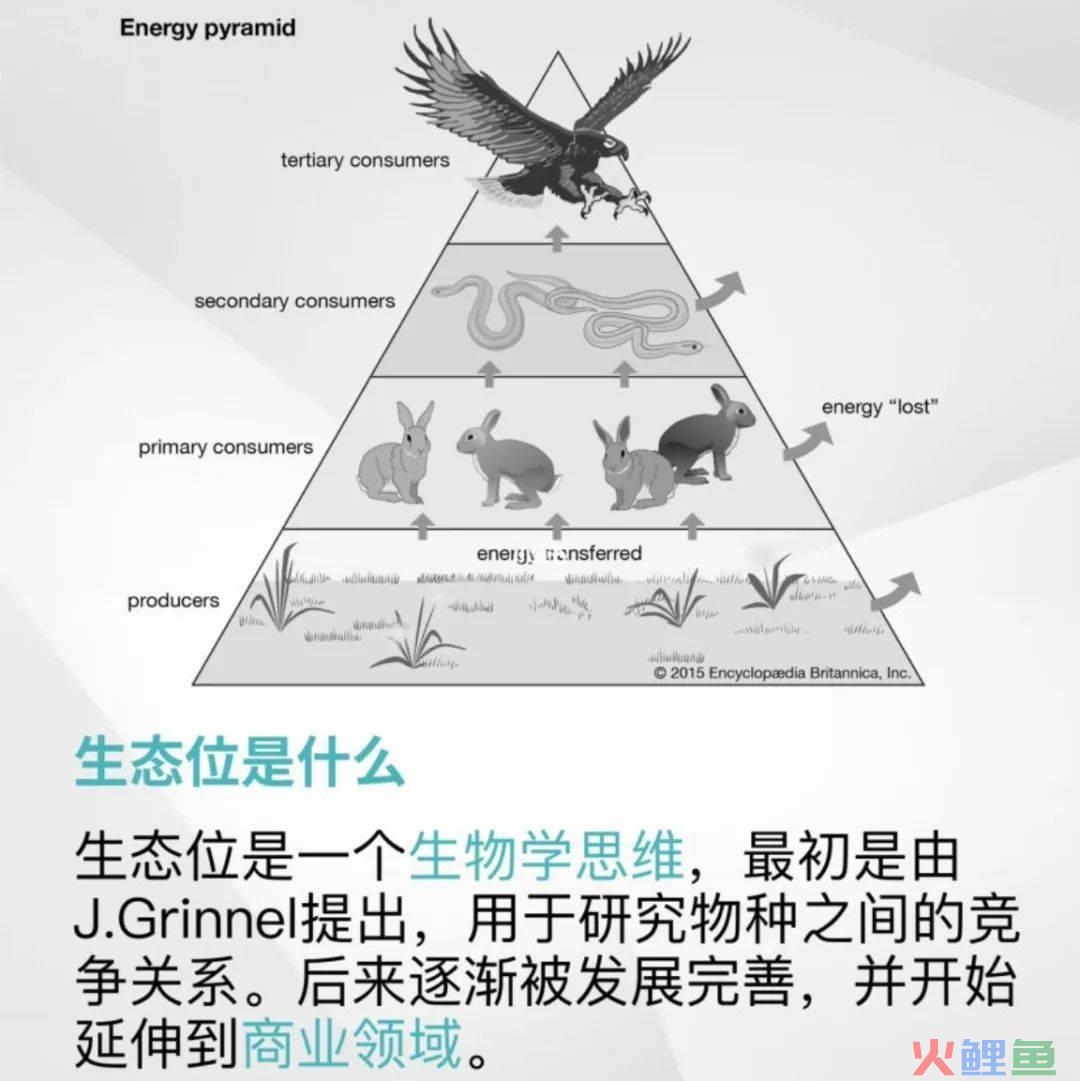 saas产品只做留存不做拉新，可行吗？