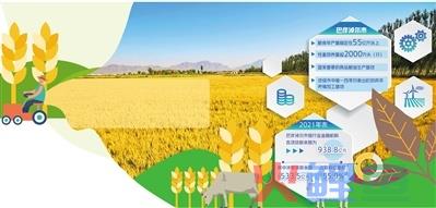 农牧业大市用活金融资源——内蒙古巴彦淖尔市金融支持乡村 ... ... 