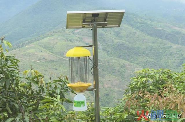红河县：绿色防控助推农业高质量发展 