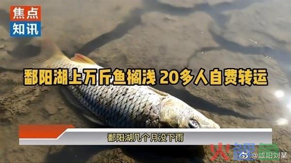 如何评价鄱阳湖上万斤鱼因干旱搁浅，20 多人自费转运到赣江 ... ... 
