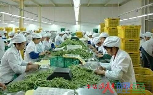 你知道农村现在什么投资最赚钱吗？,怎么做微商  第2张