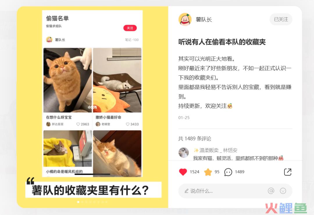 小红书再出新动作：网页版更新！