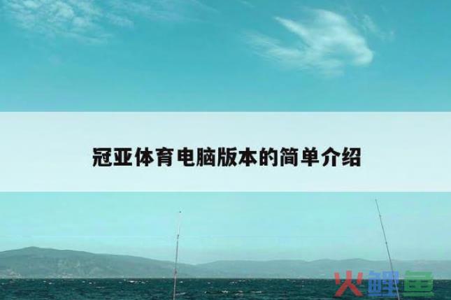 冠亚平台