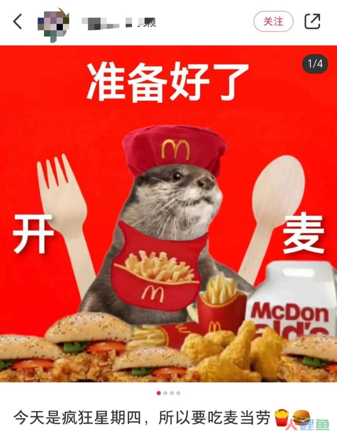 “麦门文学”火了，越看越上头