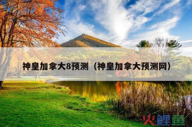加拿大8