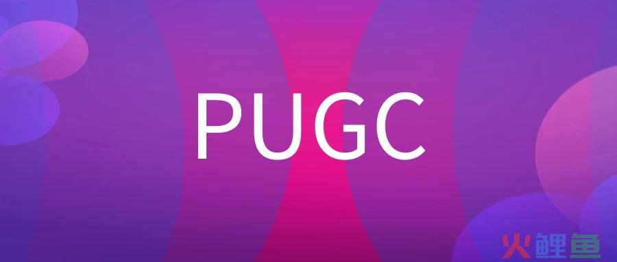 PUGC是什么意思？