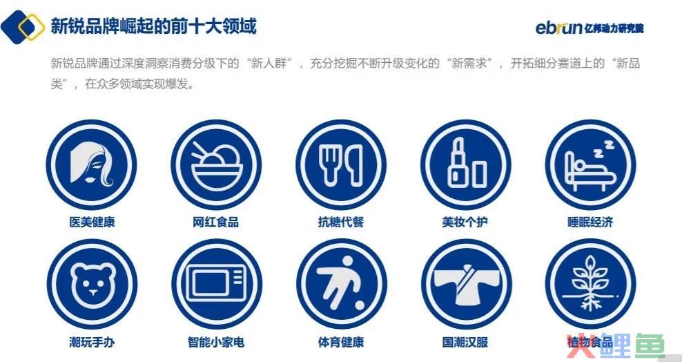 品牌如何从“现象级网红”到“持续性长红”