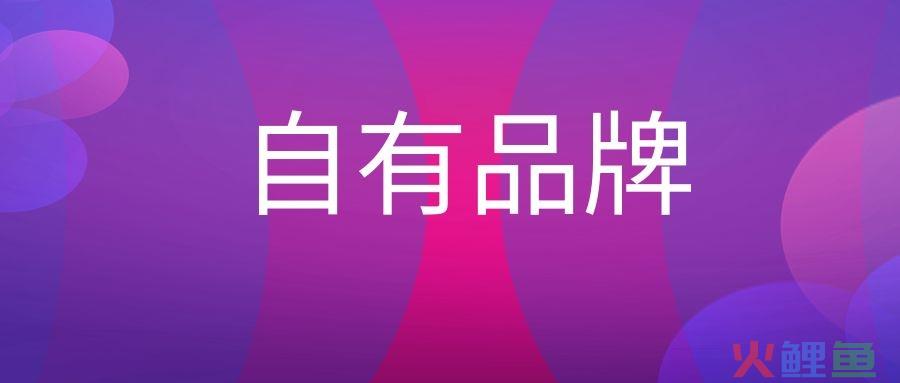 自有品牌什么意思？