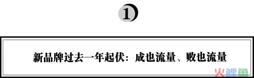 琢石资本王勇：新品牌为何成也流量，败也流量