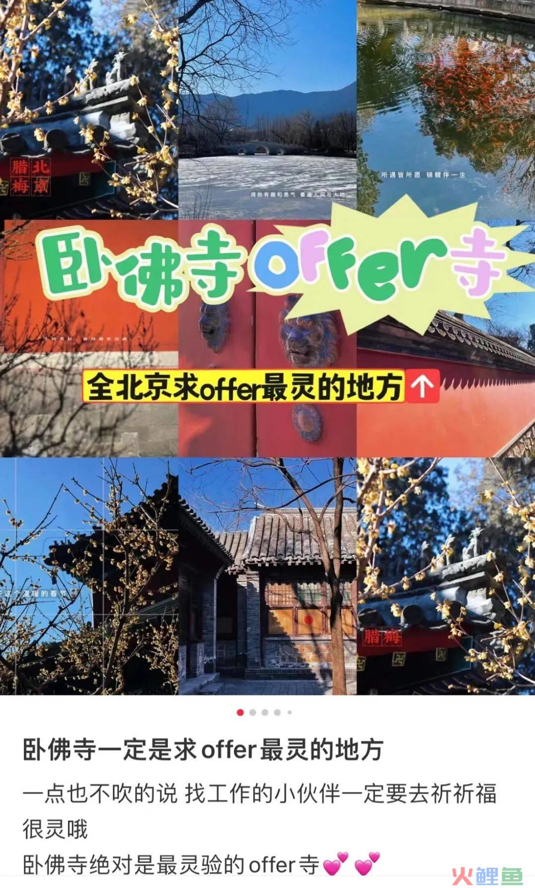年轻人挤爆寺庙，周边太上头了！