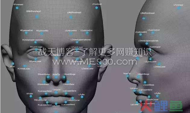 什么是大数据标注赚钱？比较冷门赚钱项目