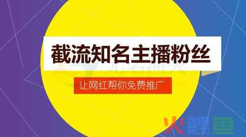 微博的吸粉引流玩法和变现手段  精准流量 轩鼎 资料 第3张