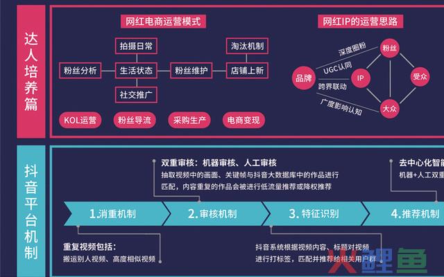 干货！抖音直播+短视频运营详解