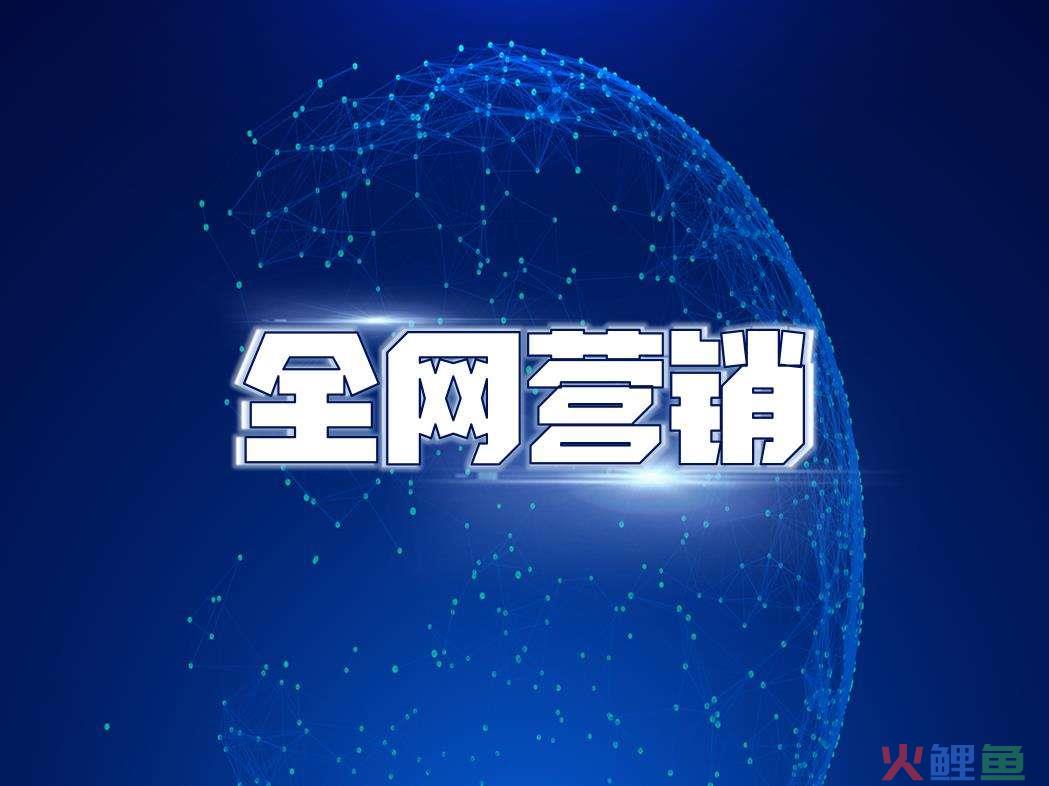 软件企业使用网络进行营销宣传，怎么学网络推广，利用网络推广提升企业影响力？