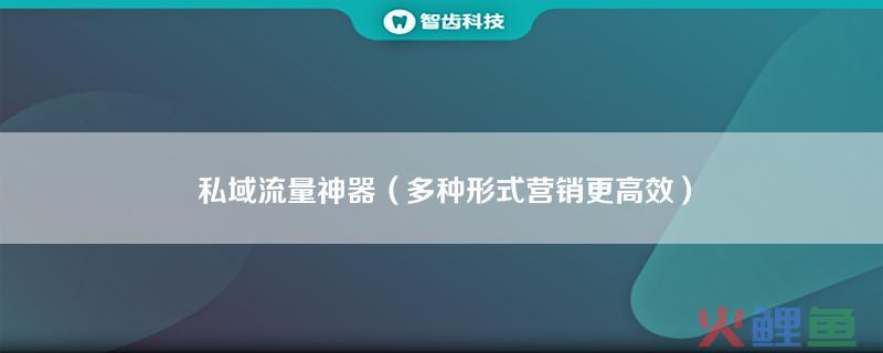 流量营销平台，私域流量神器 多种形式营销更高效