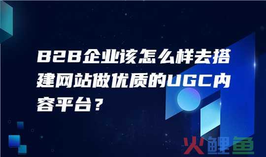 . b2b平台营销原则，B2B企业该怎么样去搭建网站做优质的内容平台来获取客户？