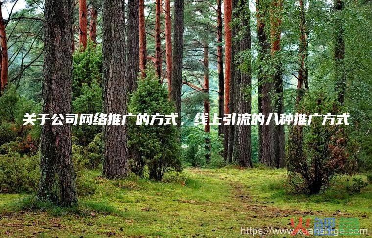 线上营销方式，关于公司网络推广的方式，线上引流的八种推广方式