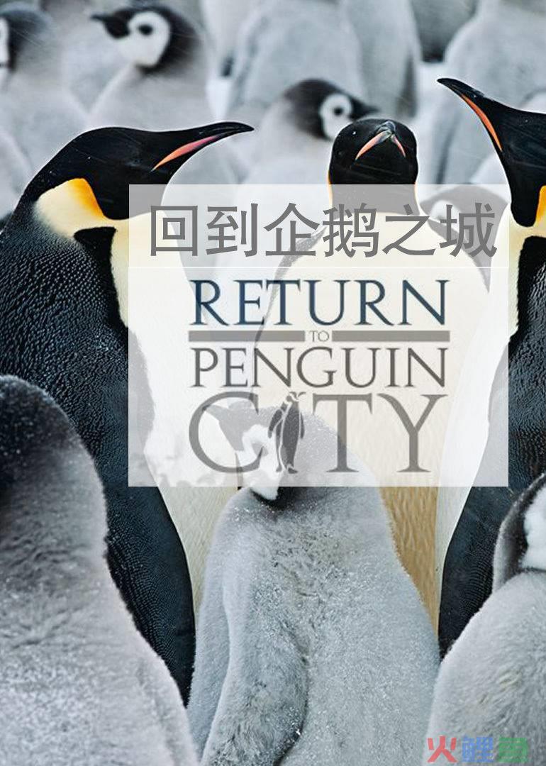 软文发布平台_外贸软文发布平台_软文营销发布平台