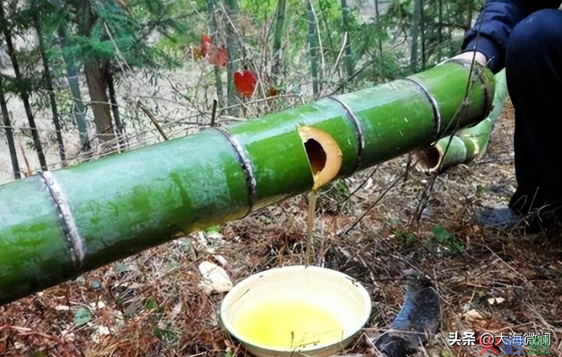 蓝韵,老村长白酒45oml简装价格_老村长白酒营销方式_老村长白酒保质期多久