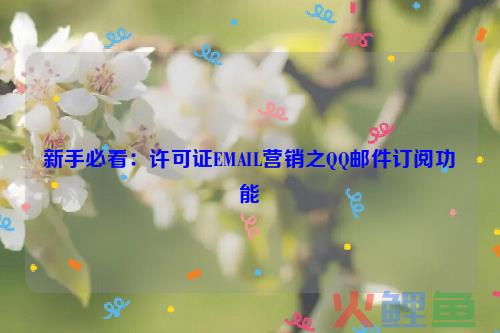 邮件营销不是有效的网络营销工具，新手必看：许可证EMAIL营销之QQ邮件订阅功能