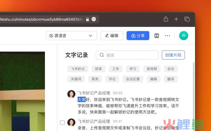 飞书妙记关键词提取