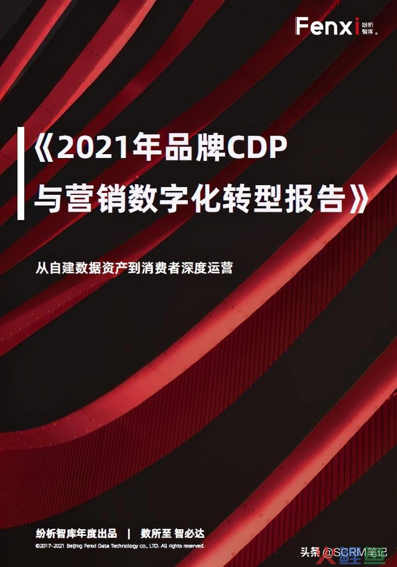 大数据营销 pdf，年品牌CDP与营销数字化转型报告.pdf