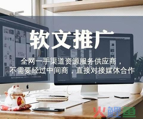 中国软营销联盟_软营销理论_网络软营销