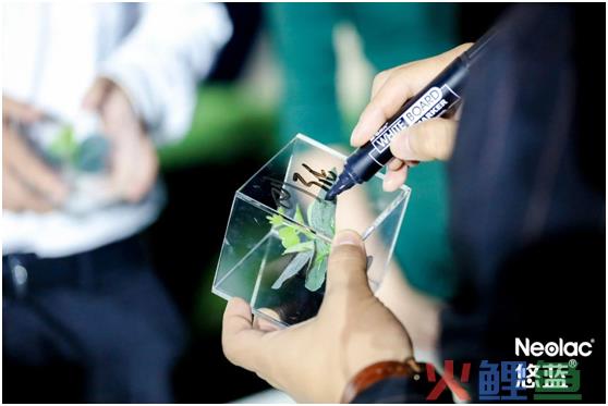 创意线下活动_端午节创意活动享活动_创意活动主题名称大全创意