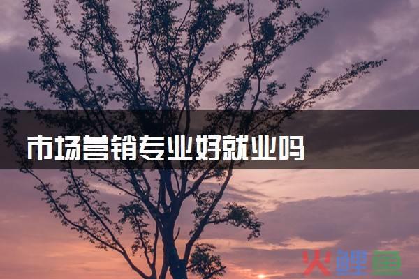 介绍就业前景，好就业吗