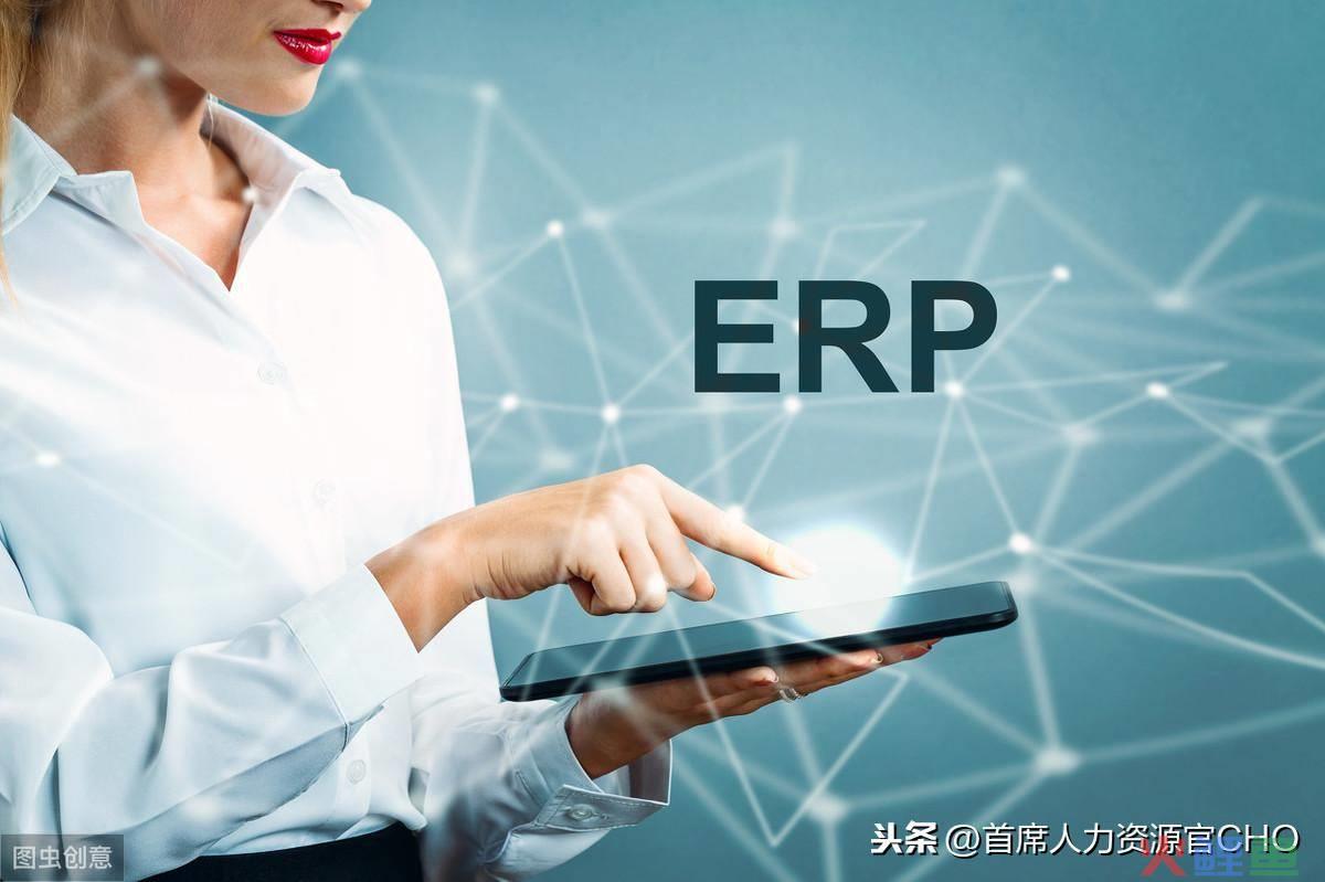 绩效管理的目的包括_绩效管理活动主要包括_动员的主要活动包括