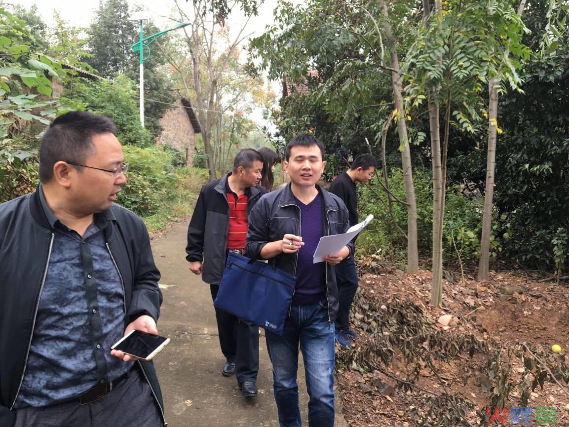 营销调研策划_市场营销调研精要_杰克·特劳特特劳特营销十要^^^显而易见：终结营销混乱