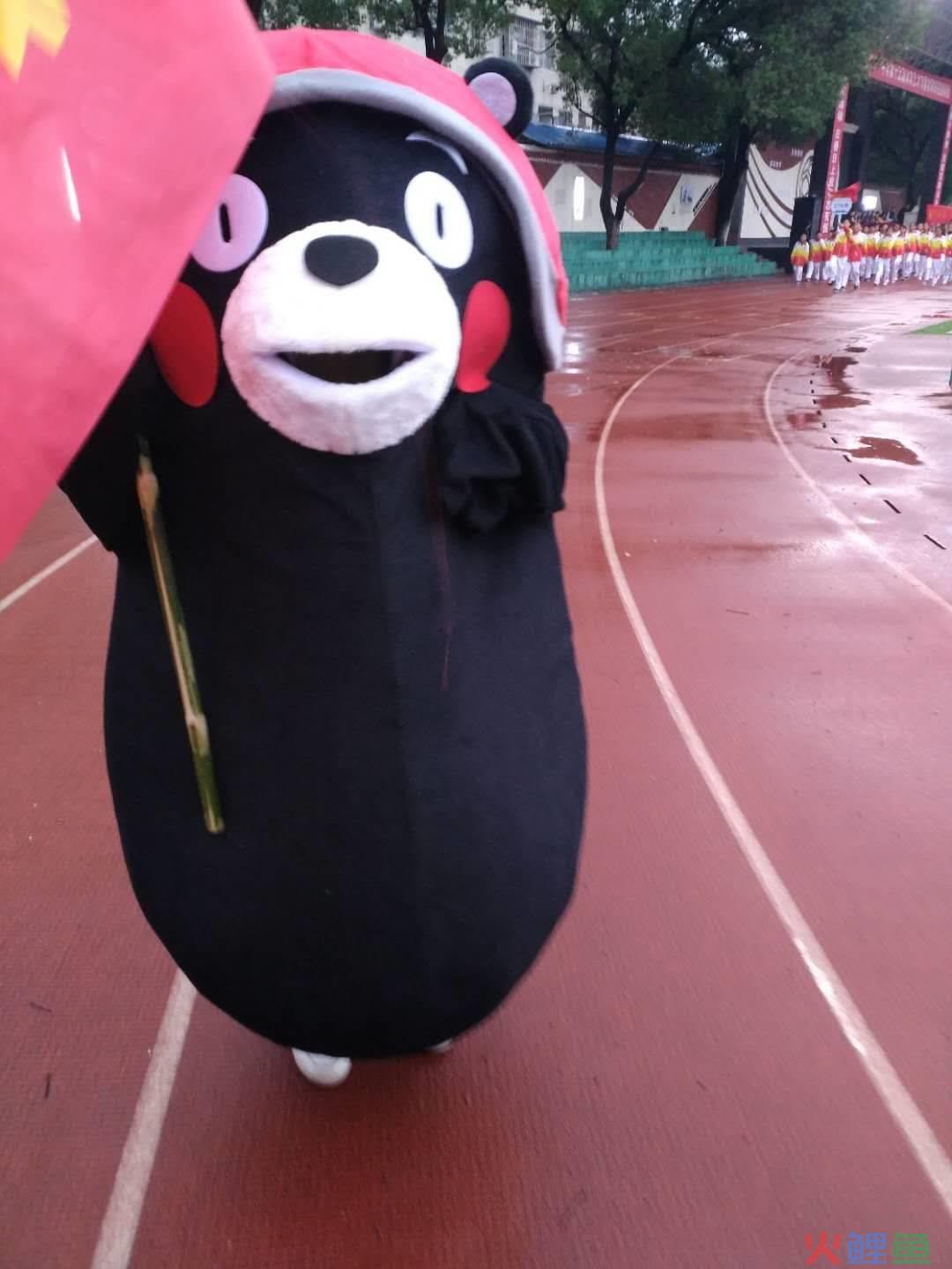 民族运动会进场介绍_辩论队介绍词_校运会市场营销队进场介绍词
