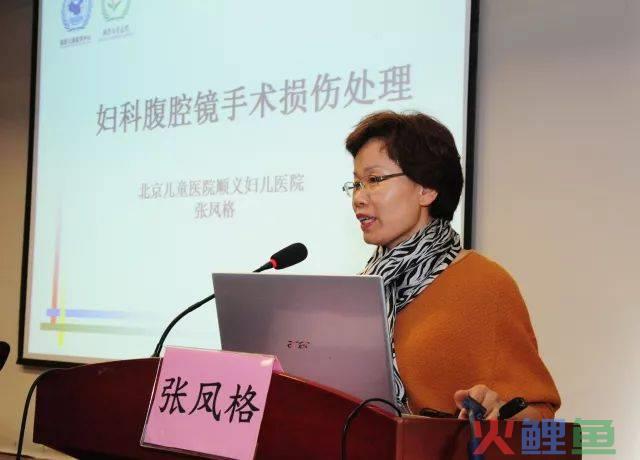 鄂东南民间文化概说_2014鄂东南妇科与不孕症微创技术论坛7月开幕_第二届国际妇科内镜技术泰山论坛