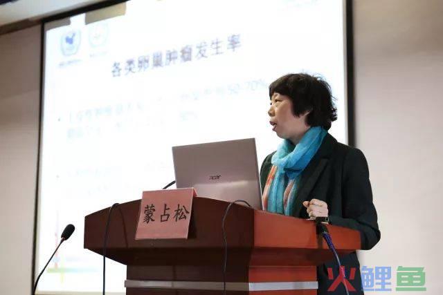 鄂东南民间文化概说_2014鄂东南妇科与不孕症微创技术论坛7月开幕_第二届国际妇科内镜技术泰山论坛